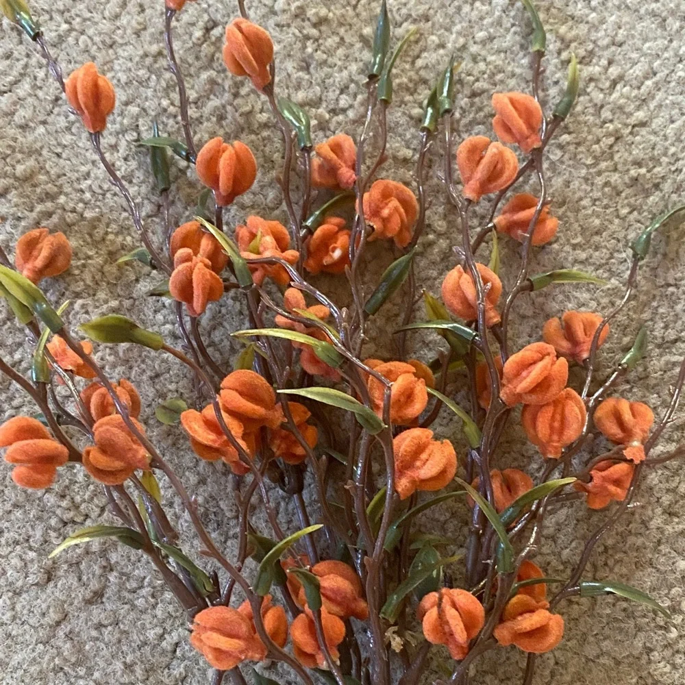 Fall Daydream Pick Rusty